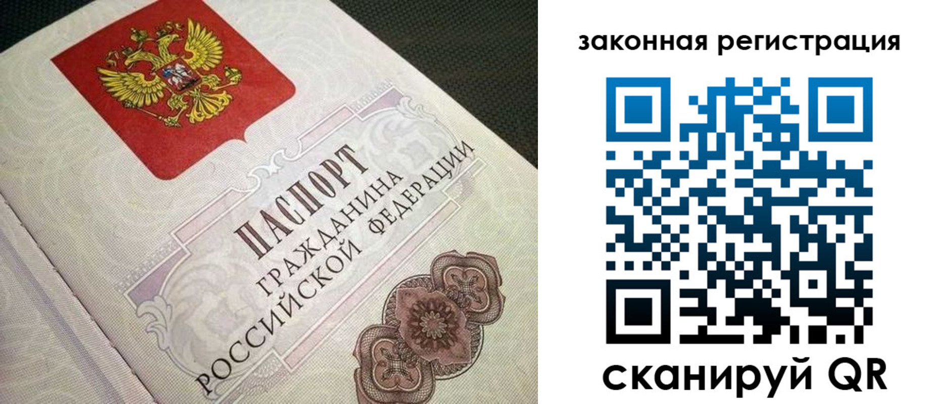 прописка в Сафоново